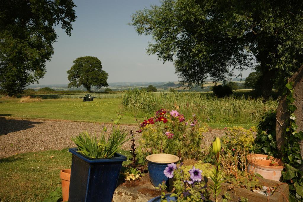 レオミンスター Hills Farm Bed & Breakfast エクステリア 写真